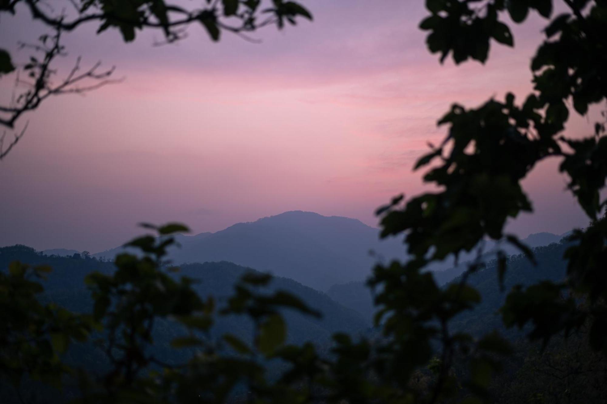 Aavaas Hill Resort 兰斯顿 外观 照片
